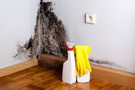 Best Comprehensive Air Testing for Mold Contaminants  in South Barrington, IL